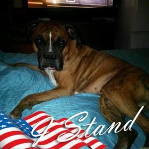 Meet your Posher, Judy